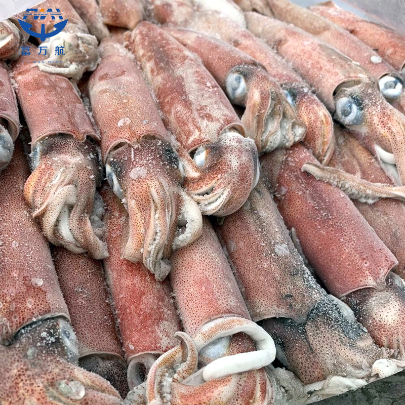 Mua Hải sản đông lạnh Todarode Squid