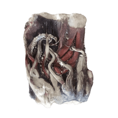 Frozen Seafood Giant Squid Tentacle Squid Head