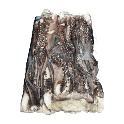 Frozen Seafood Giant Peru Squid Tentacle